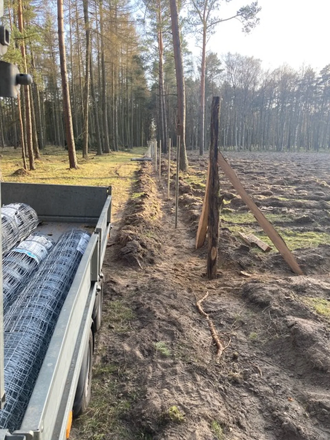 Forstservice F.Scholz - Coils auf LKW verladen