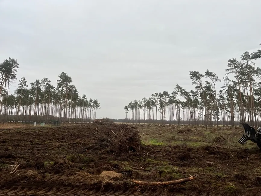 Forstservice F.Scholz - Waldbegründung und Waldpflege