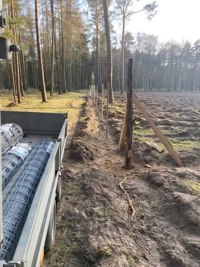 Forstservice F.Scholz - Waldbepflanzung und -pflege, Verladung von Coils auf LKW